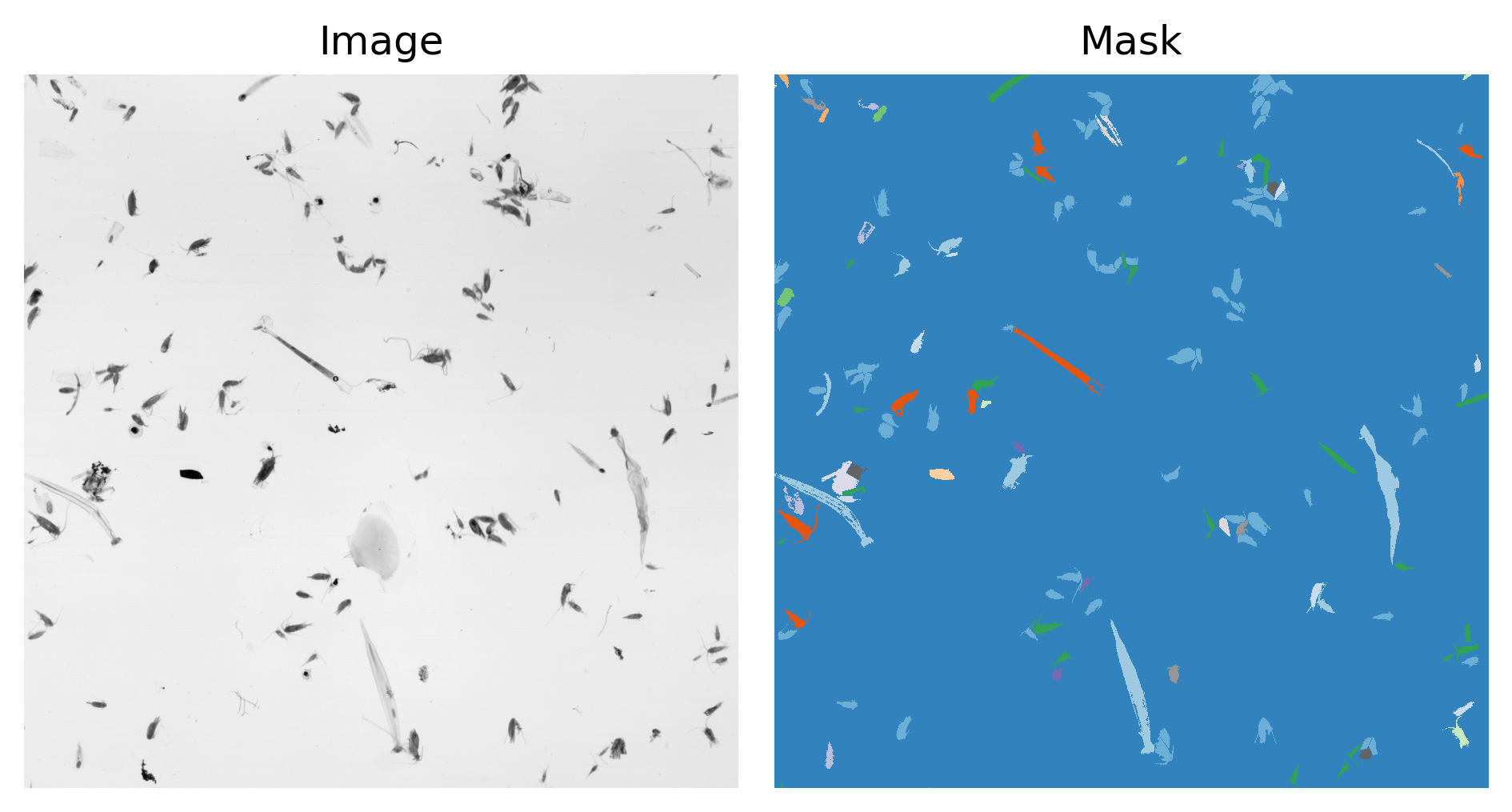 Zooscan image and mask example