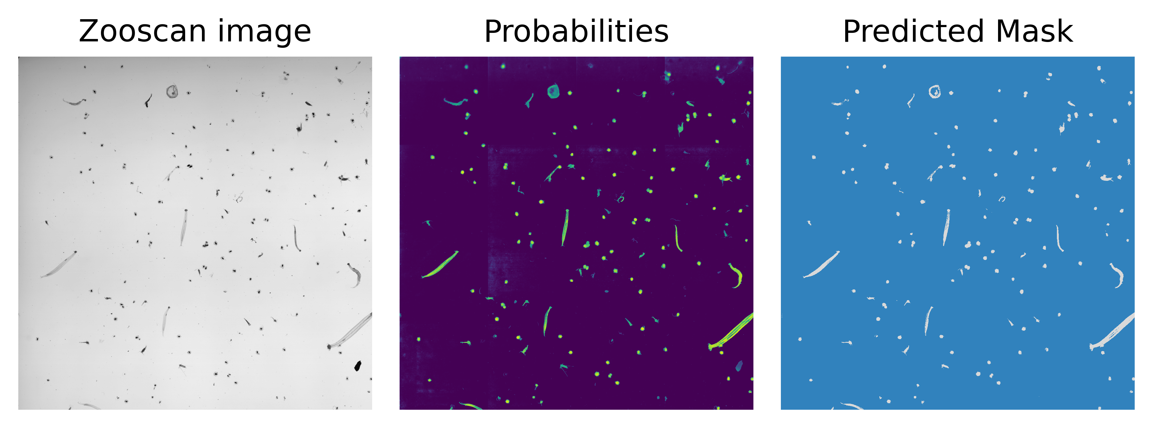 Inference on a new unseen scan with slided inference