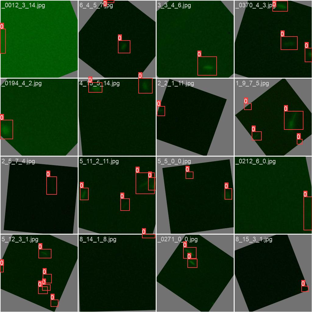 Train batch with aug.