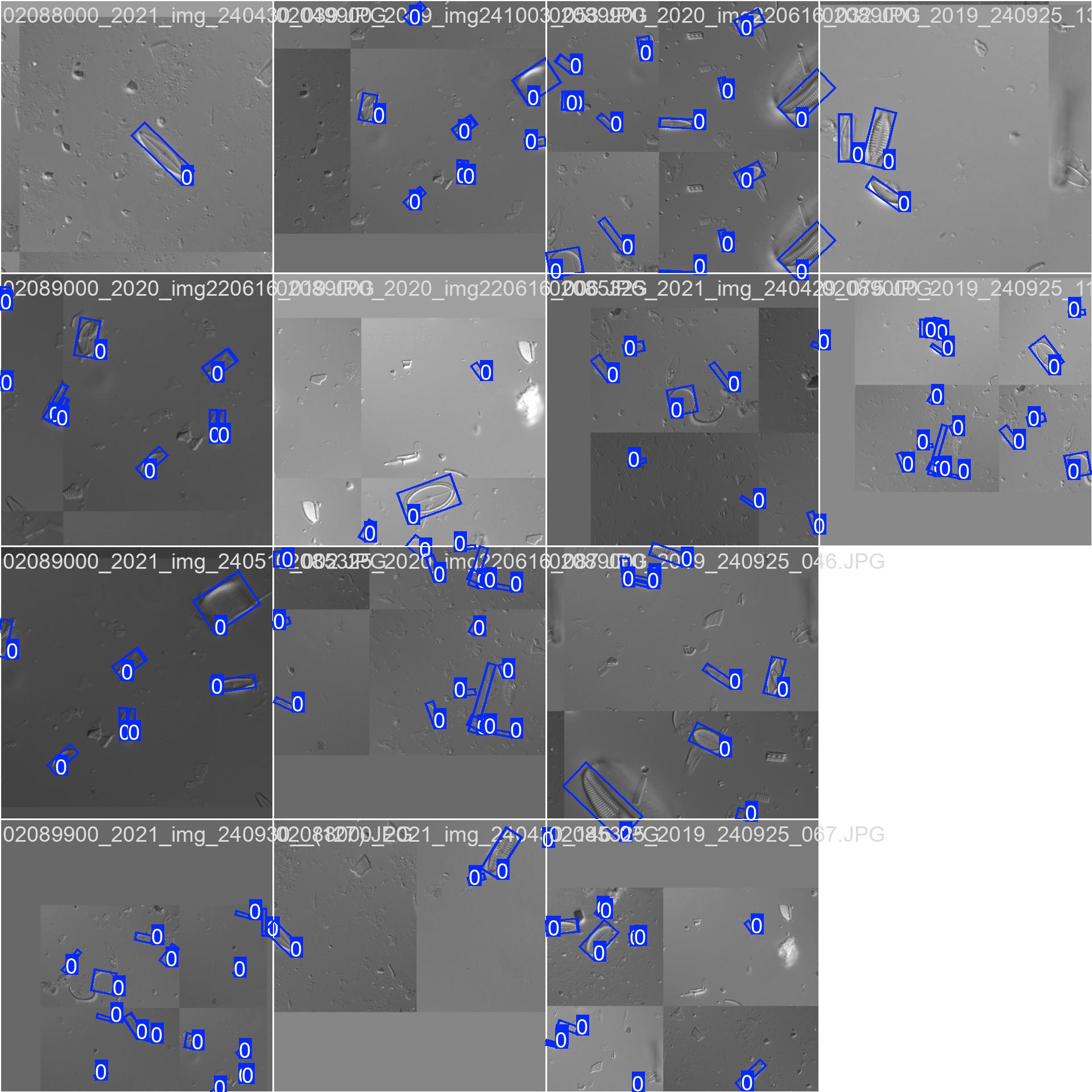 Train batch with aug.