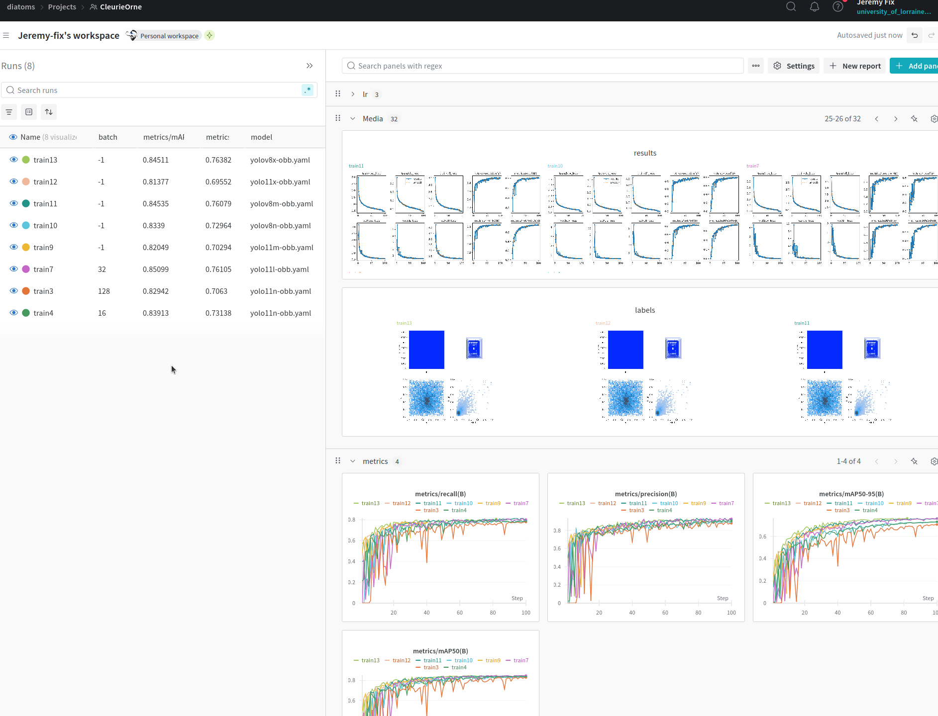 Metrics during training