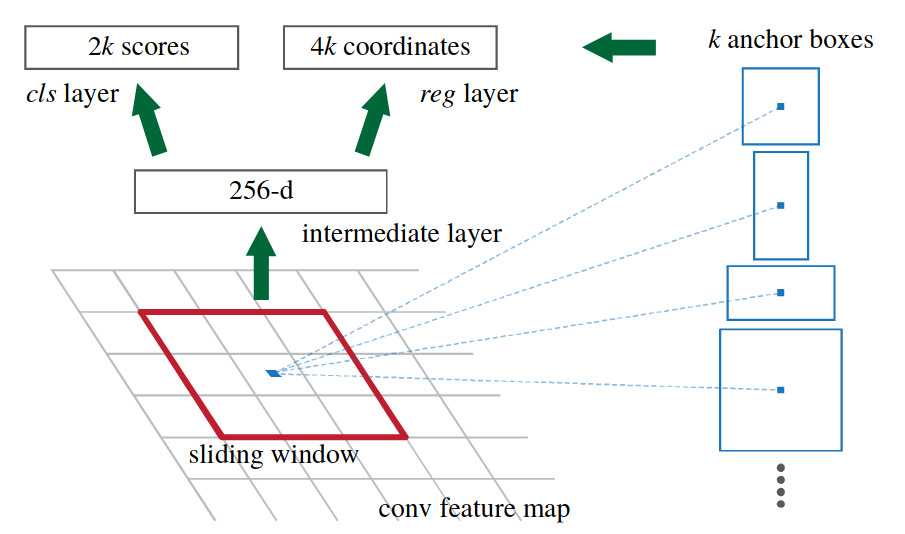 Region proposal network with anchors at 3 scales, 3 aspect ratios