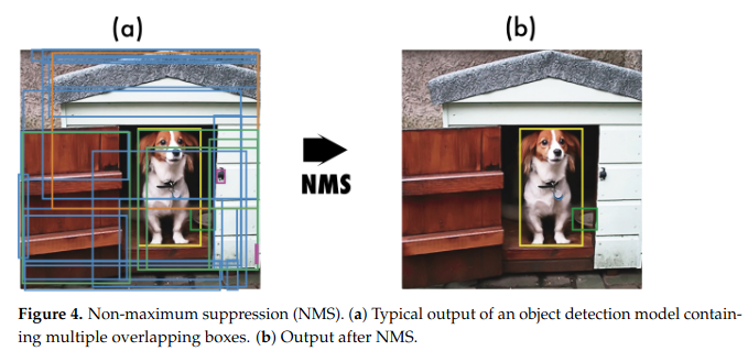 Non maximum suppression (from (Terven et al., 2023))