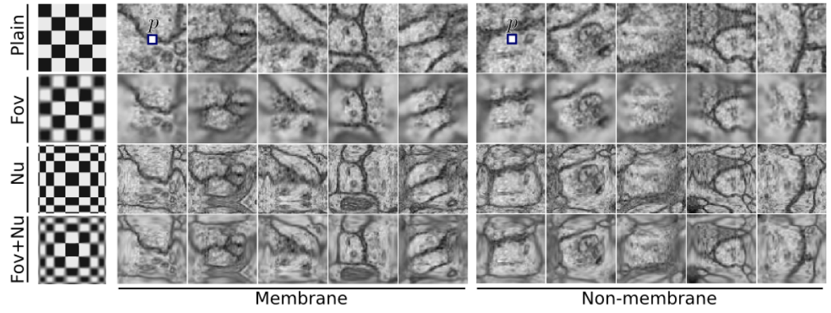 Class preserving data augmentation