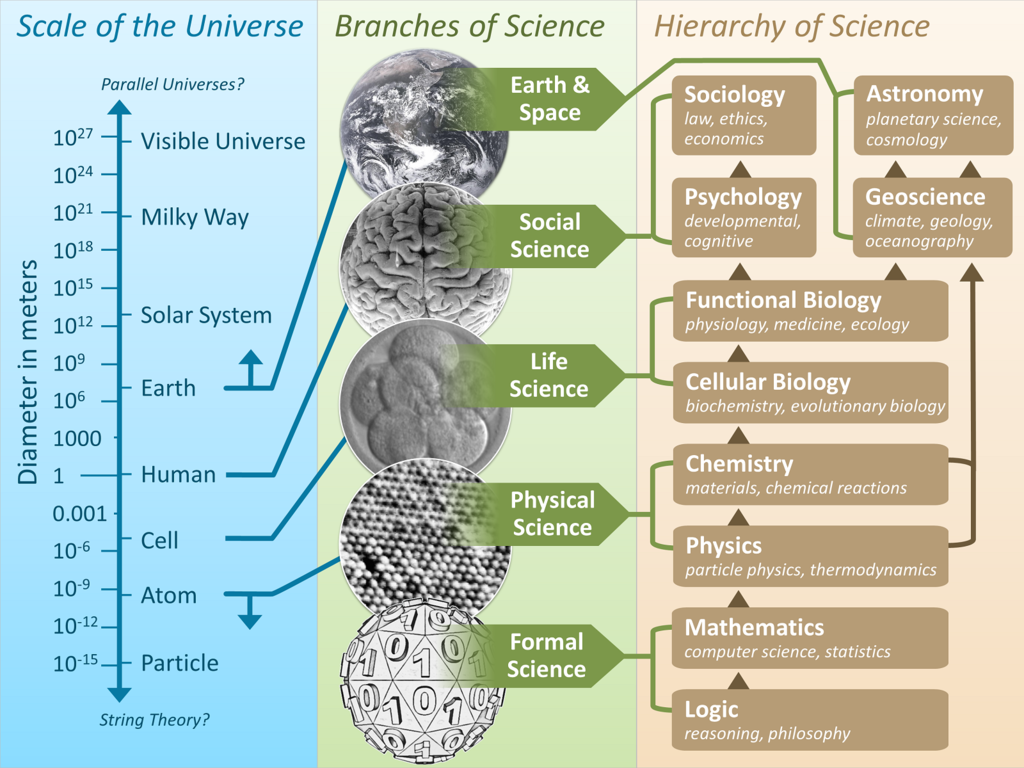 The scale of the universe mapped to the branches of science and the hierarchy of science. CC BY-SA 3.0 (2013) Wikimedia Commons.